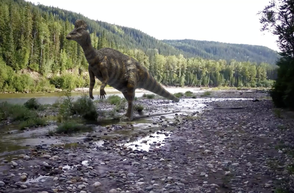 Un dinosaure gris à crête et à bec de canard marche sur deux pattes le long d'une rivière moderne.