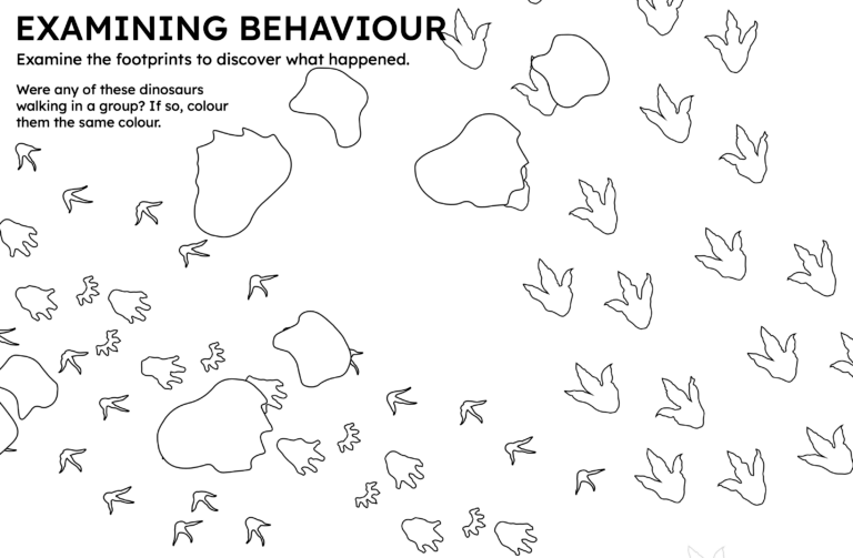 Illustration of dinosaur trackways. Several sets of dinosaur tracks crisscross and overlap. Some groups of tracks move in the same direction. 