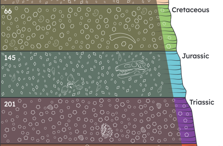 An illustration of rock layers representing different geological periods. The layers contain many of the same small common fossils as well as rarer fossils.