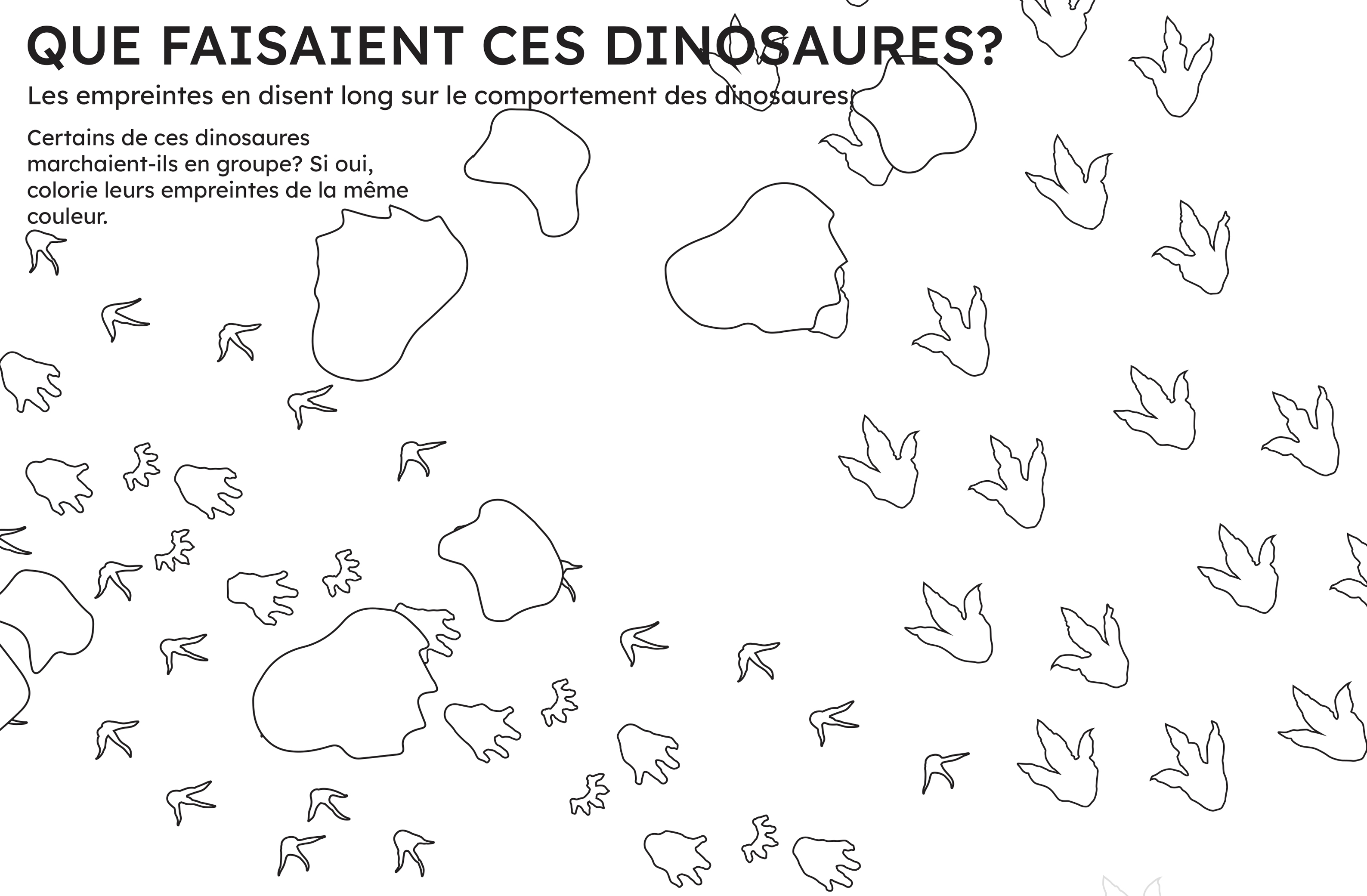 Illustration d'empreintes de dinosaures. Plusieurs pistes se croisent et se superposent. Certaines vont dans la même direction.