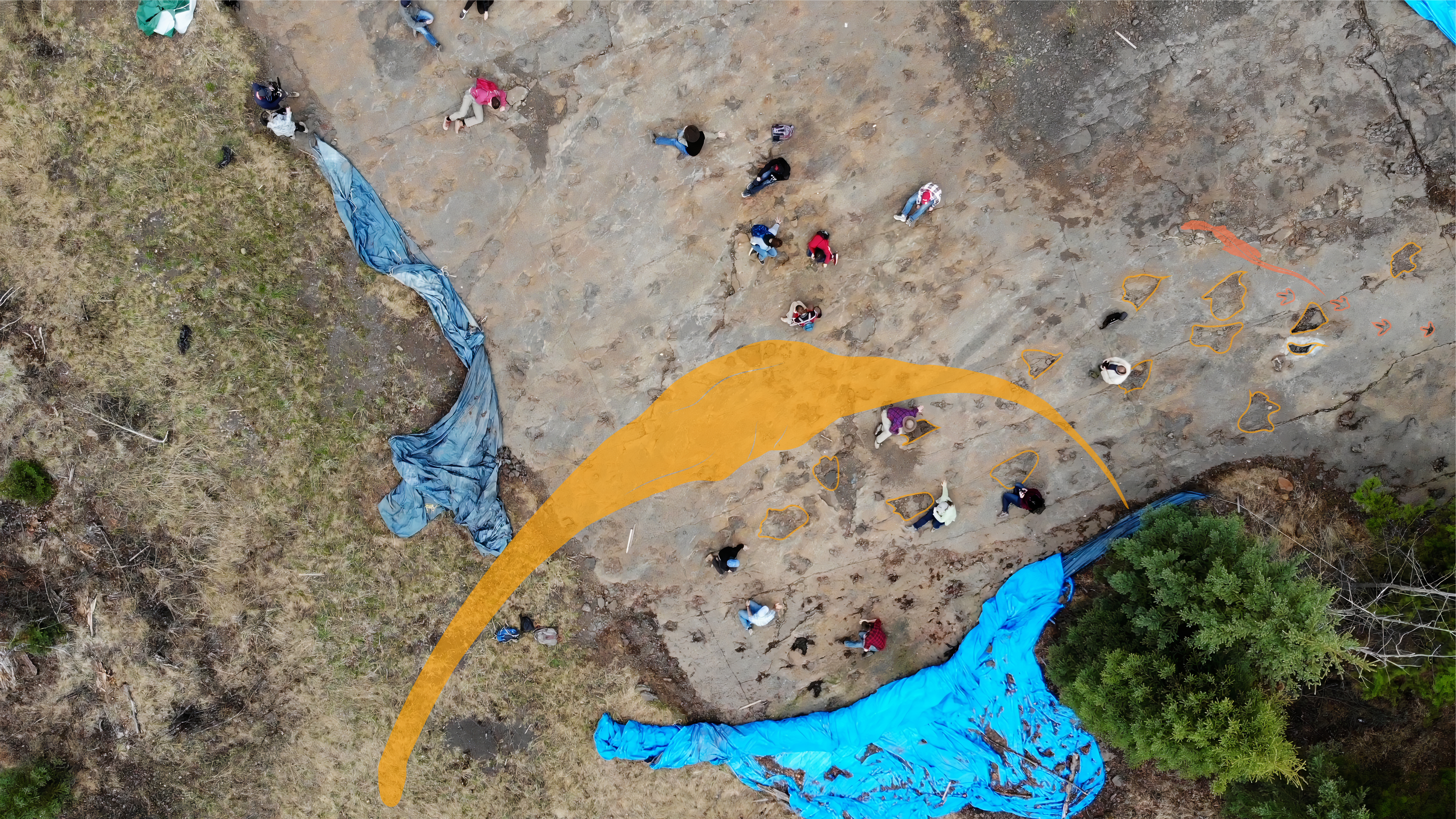 Aerial shot looking down at a greyish-brown rocky ground. Many different-sized footprint impressions are visible. Some of them are outlined. There is a silhouette of a large sauropod in yellow and a much smaller theropod in orange. 